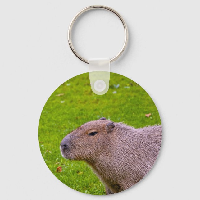Chaveiro Capybara Animal Incrível (Frente)