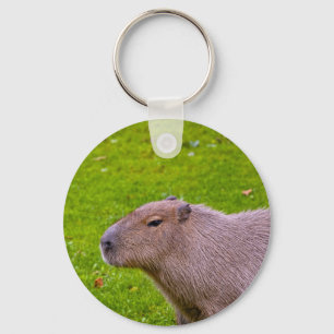 Chaveiro Capybara animal surpreendente