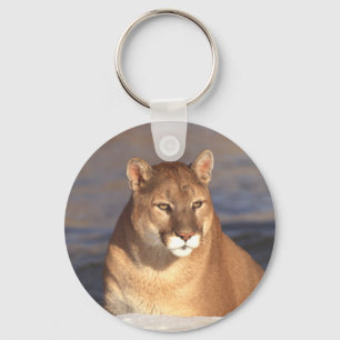 Chaveiro Cara do puma