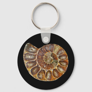 Chaveiro caracol-caracol-do-caracol-fóssil pré-histórico na