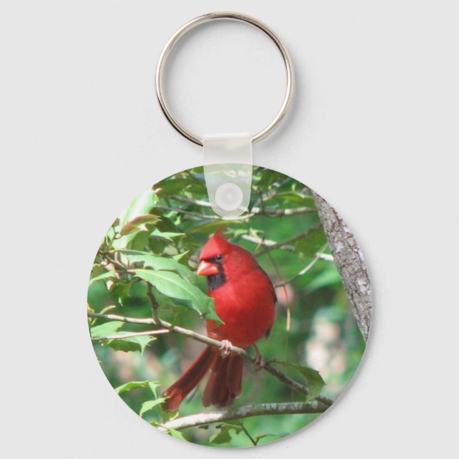 Chaveiro Cardeal em Holly (Frente)