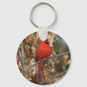 Chaveiro Cardeal vermelho
