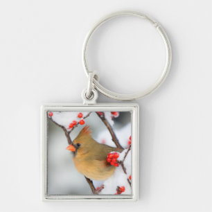 Chaveiro Cardinal-do-norte fêmea em Winterberry Comum