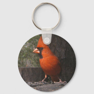 Chaveiro cardinal vermelho