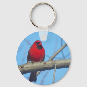Chaveiro Cardinal Vermelho/Pássaro