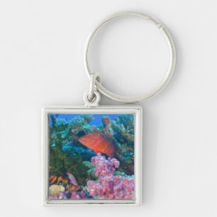 Chaveiro cardume de donzelas (Pseudanthias