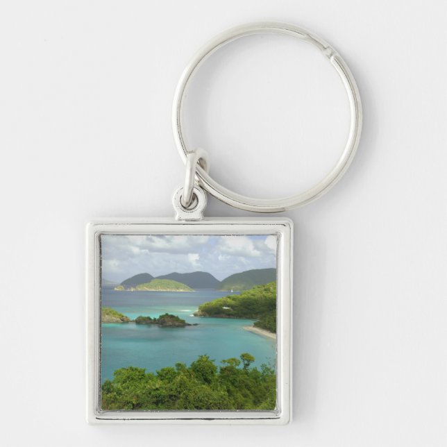 Chaveiro Caribe, Ilhas Virgens dos EUA, St. John, Tronco 2 (Frente)