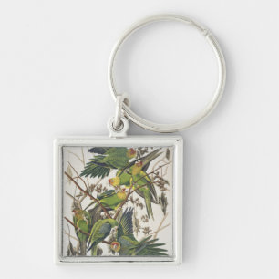 Chaveiro Carolina Parakeet, de 'Birds of America', 1829