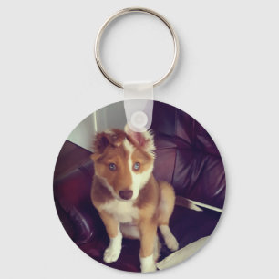 Chaveiro Carregar a sua fotografia personalizada de estimaç