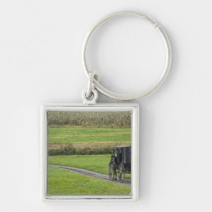 Chaveiro Carrinho Amish em estrada rural, Nordeste de Ohio,