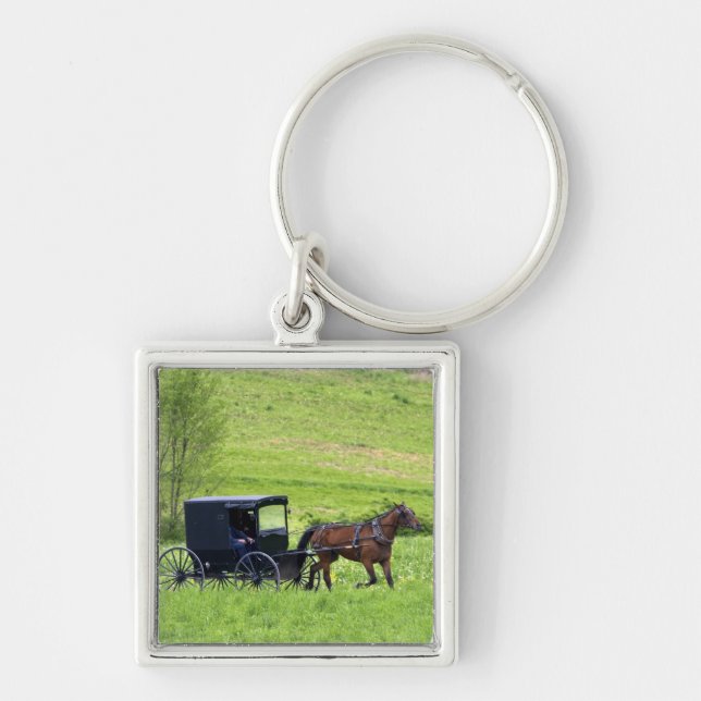 Chaveiro Carroça e cavalo Amish perto de Berlim, Ohio. (Frente)