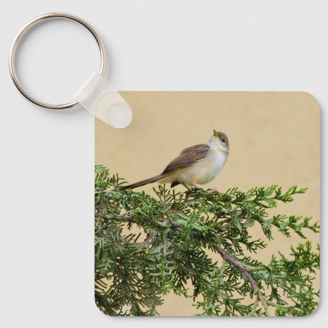 Chaveiro Cartão-postal Sparrow (Frente)