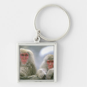 Chaveiro Casal de Macaco Neve, Macaco Japonês,