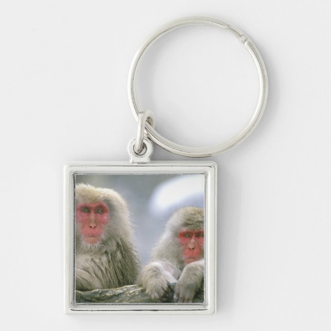 Chaveiro Casal de Macaco Neve, Macaco Japonês, (Frente)