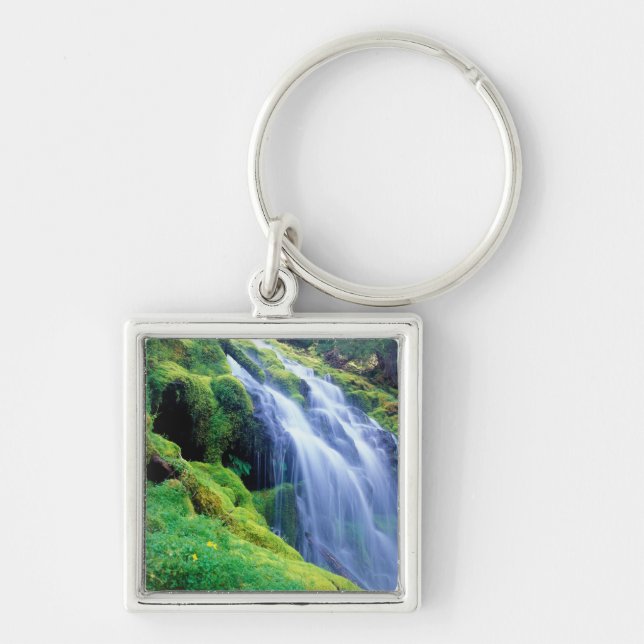 Chaveiro Cataratas Proxy nas Cascatas centrais de Oregon. (Frente)