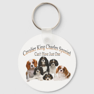 Chaveiro Cavalier King Charles Spaniel não pode ter apenas