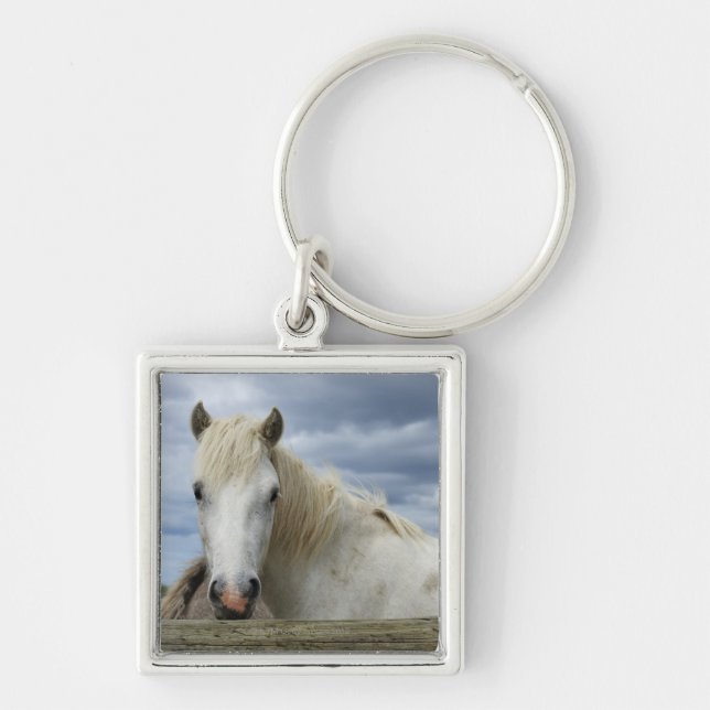 Chaveiro Cavalo branco | France (Frente)