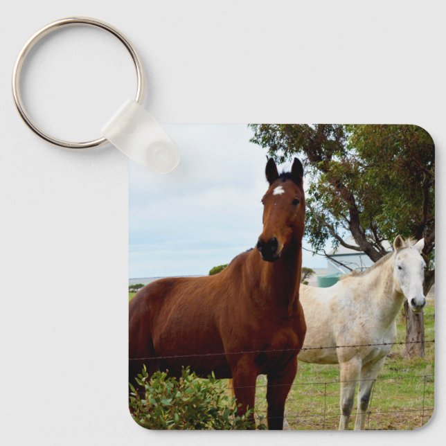 Chaveiro Cavalo Castanho E égua Branca, (Frente)