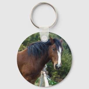 Chaveiro Cavalo Clydesdale Idoso,
