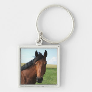 Chaveiro Cavalo de Baía na Pastura
