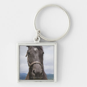 Chaveiro Cavalo de Brown escuro