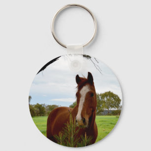 Chaveiro Cavalo De Castanha Com Árvore De Banksia