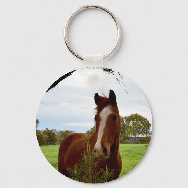 Chaveiro Cavalo De Castanha Com Árvore De Banksia (Frente)