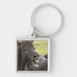 Chaveiro Cavalo islandês com expressão engraçada