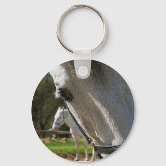 Chaveiro Cavalo Lipizzaner