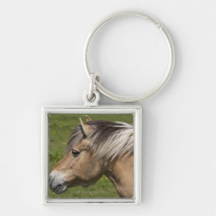 Chaveiro Cavalo norueguês do fiorde