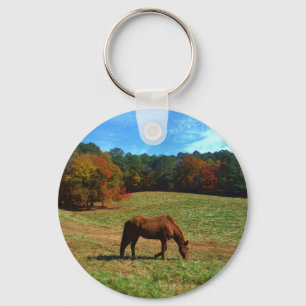 Chaveiro Cavalo vermelho castanho, árvores de queda, céus a