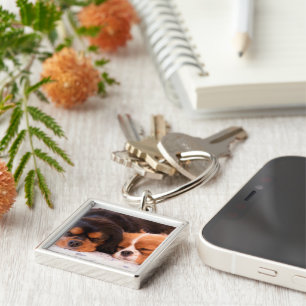 Chaveiro Cavalos adormecidos cavalheiros Rei Charles Chavei