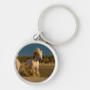 Chaveiro Cavalos brancos que funcionam na praia Camargue,