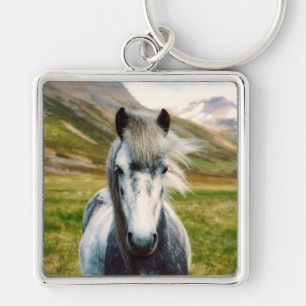 Chaveiro Cavalos de Cinzas selvagens nas montanhas