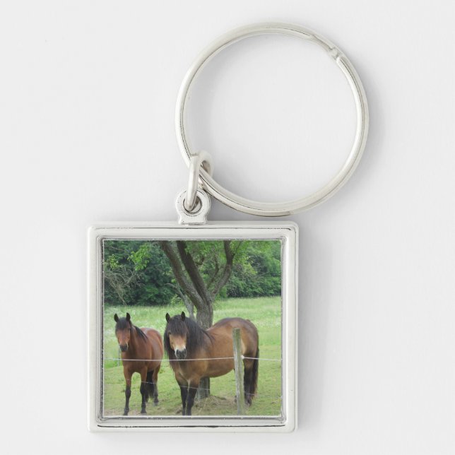 Chaveiro Cavalos no Pasto (Frente)