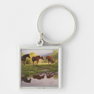 Chaveiro Cavalos refletidos em um pequeno riacho, Cades Cov