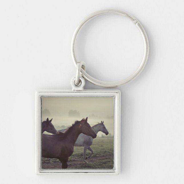Chaveiro Cavalos selvagens (Frente)
