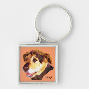 Chaveiro Cercas de Biaggi para a corrente chave de Fido