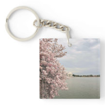 Cerejeiras na Tidal Basin