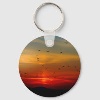 Céu Atmosférico, pôr do sol, pássaros, bela foto