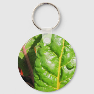 Chaveiro Chards suíços