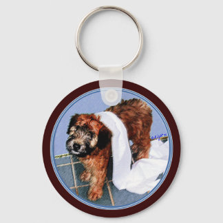 Chaveiro Chaveiro: "Não fui eu!"