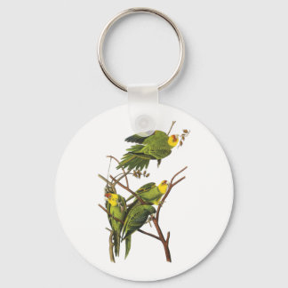 Chaveiro Chaveiro: Peito - de John Audubon