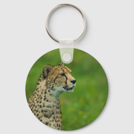 Chaveiro Cheetah Em Uma Olhada