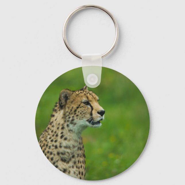 Chaveiro Cheetah Em Uma Olhada (Frente)