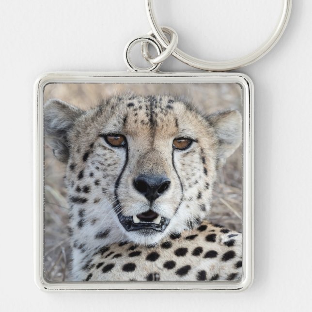 Chaveiro Cheetah Portrait (Frente)
