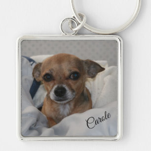 Chaveiro Chihuahua