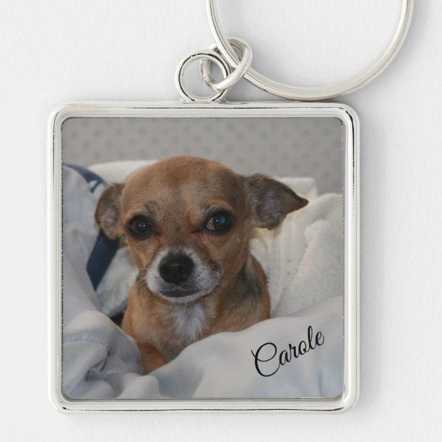 Chaveiro Chihuahua (Frente)