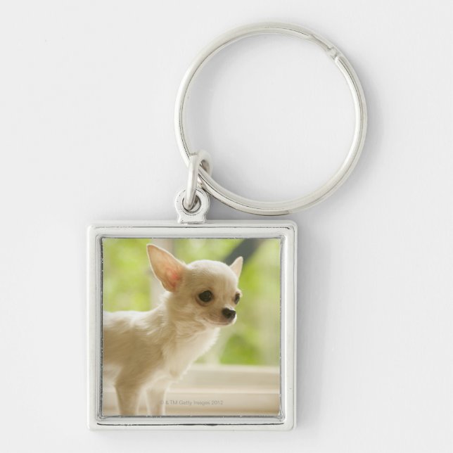 Chaveiro Chihuahua (Frente)