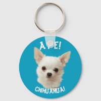 Chihuahua branco, Aye Chihuahua